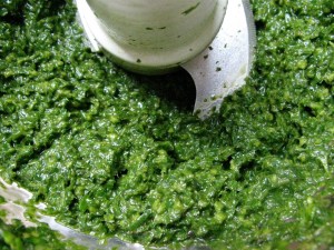 see now how it's creamy-yellowish-green?