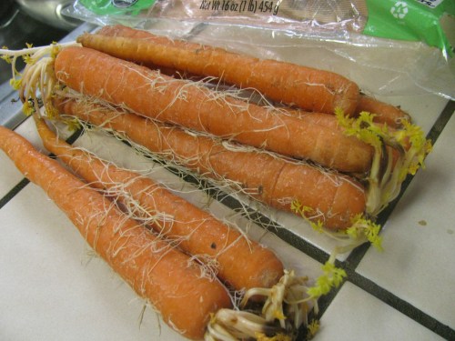 gnarly carrots