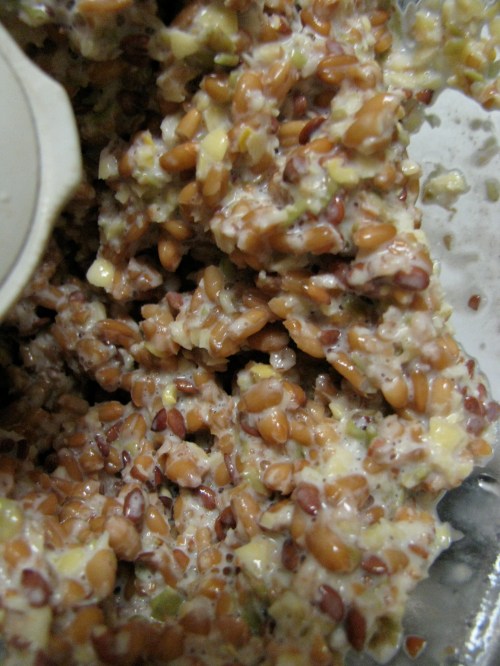 sprouted wheat food processor 1